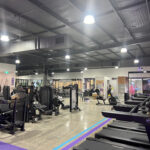 Anytime Fitness Ashmore Gallery 9996 Ashmore