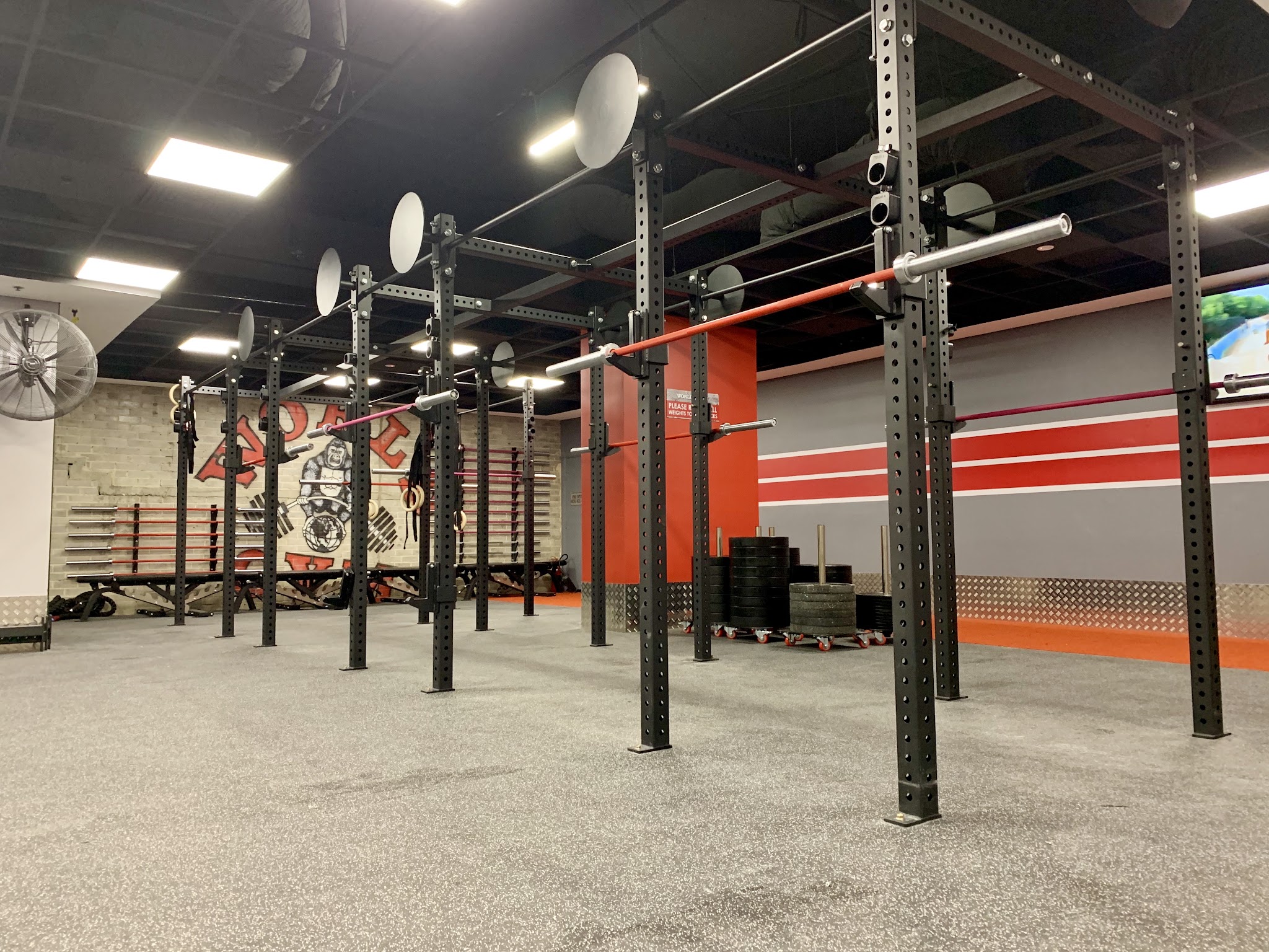 Worldgym Mandurah Falcon